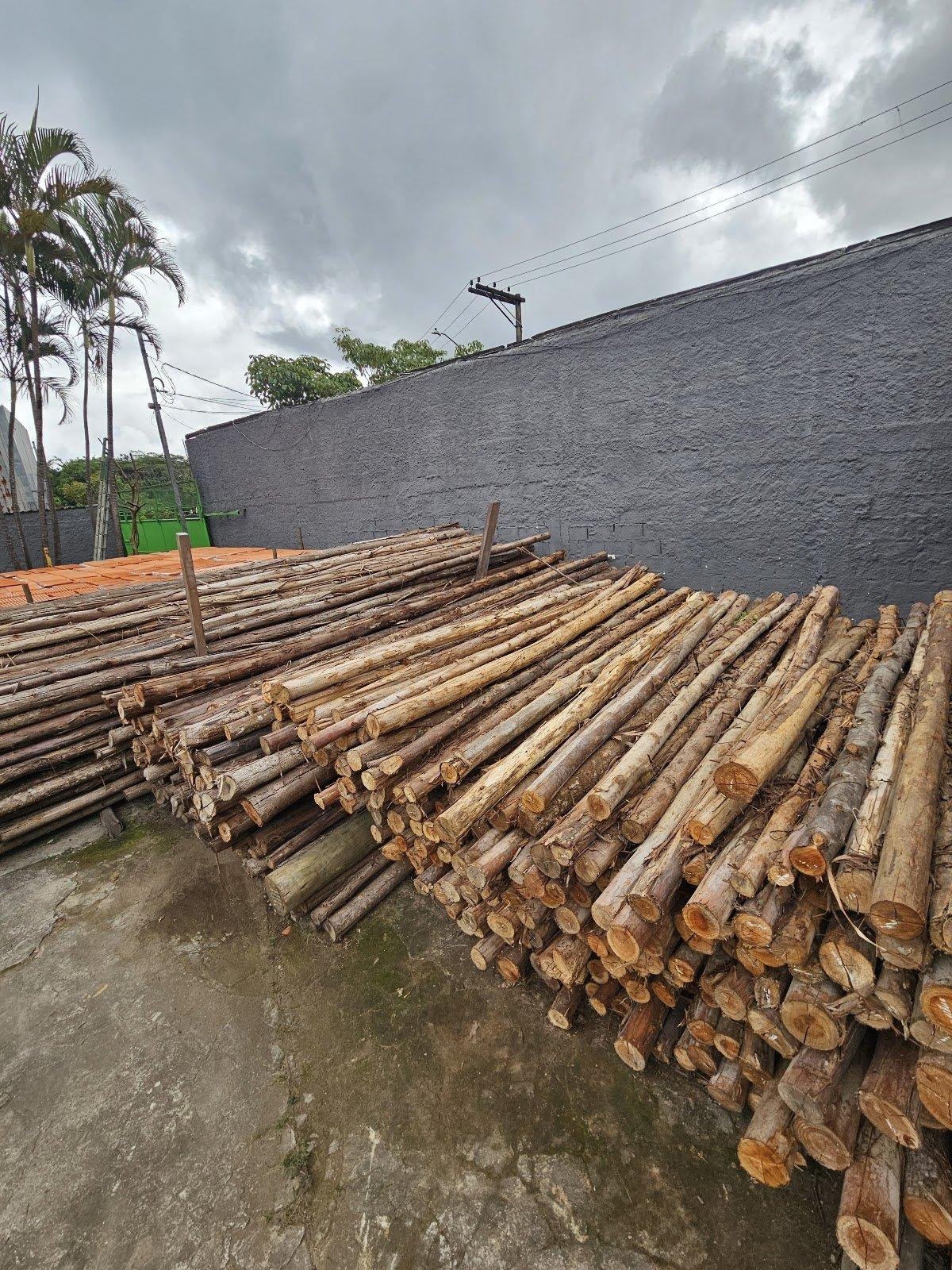 Grande estoque de toras de madeira organizadas ao ar livre.