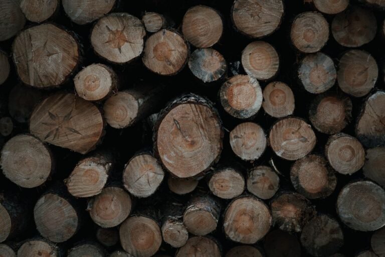 Pinus para Obra em São Paulo: Como Economizar na Sua Estrutura em 2026