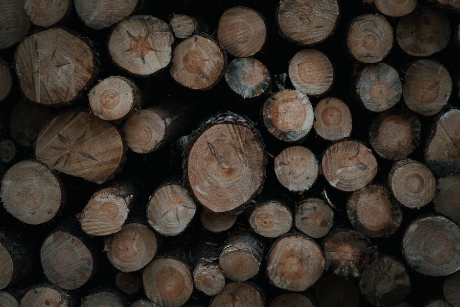 Pinus para Obra em São Paulo: Como Economizar na Sua Estrutura em 2026